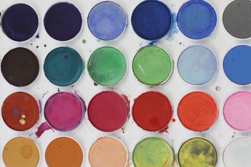 Watercolour paint palette